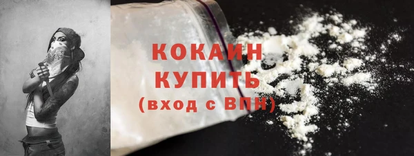 молекула духа Бронницы