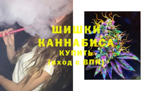 молекула духа Бронницы