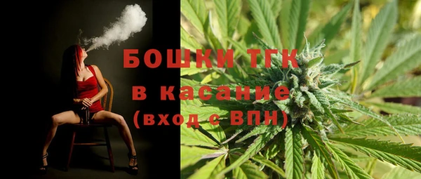 трава Бородино