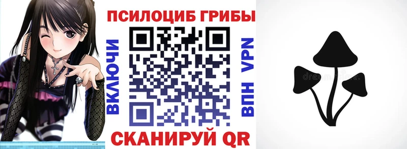 наркотики  Ковылкино  Галлюциногенные грибы мухоморы 